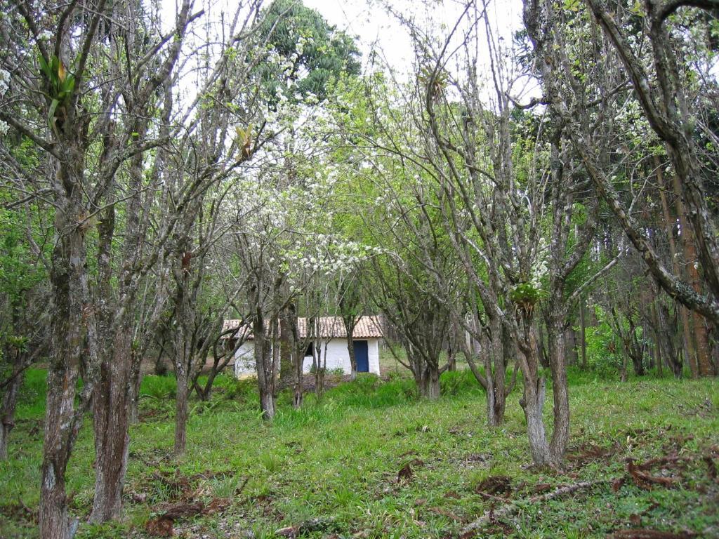 Pousada Candeias Cunha Esterno foto